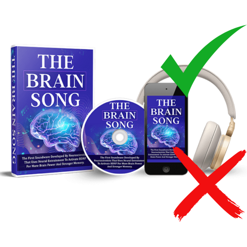 brain song review